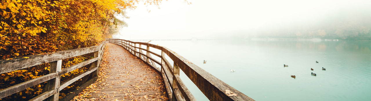 ICAAF-HOME-HEADER